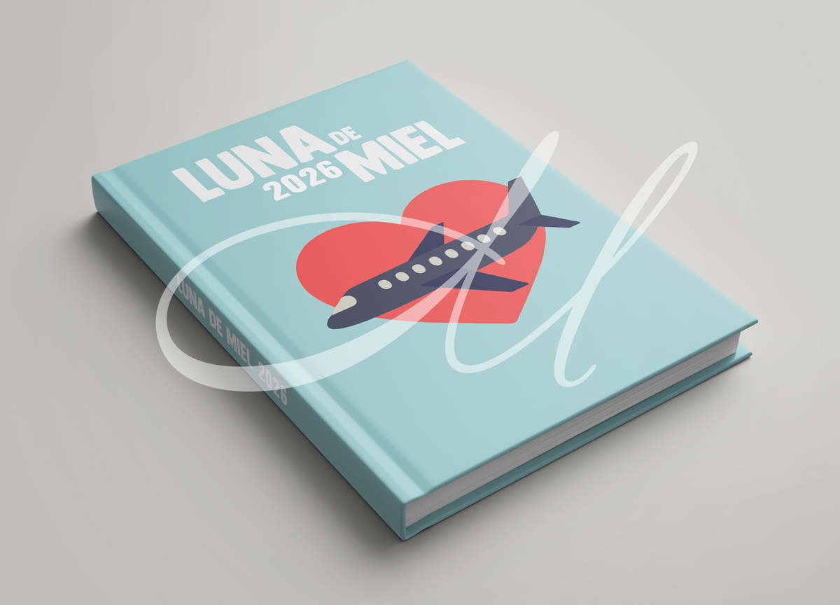 LUNA DE MIEL AVIÓN
