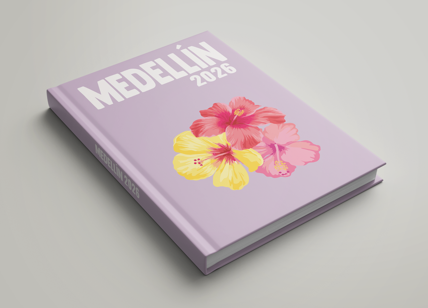 MEDELLIN 3