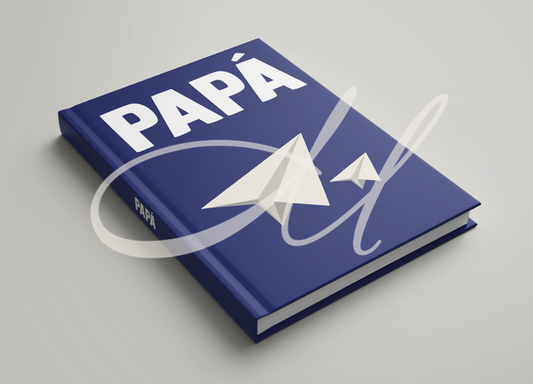 PAPÁ AVIONES DE PAPEL